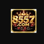 8557 casino game